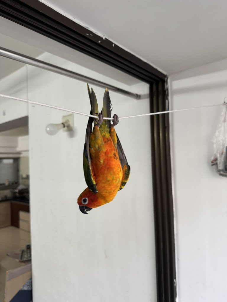 patoliapp's tweet image. #Saw it
#Liked it
#Clicked it