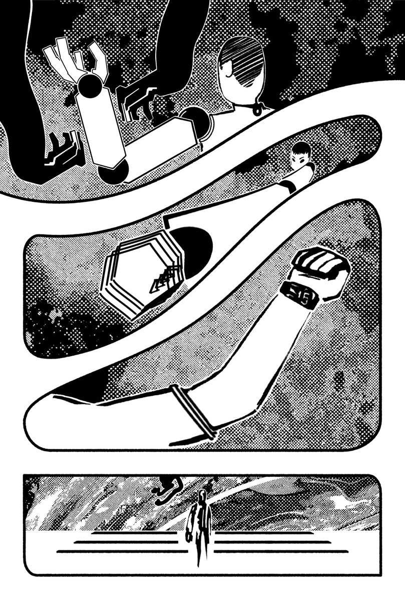 Lichen Euchella tweet media