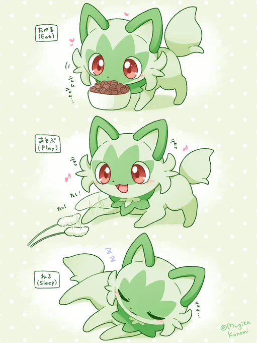 羨ましいニャオハの一日