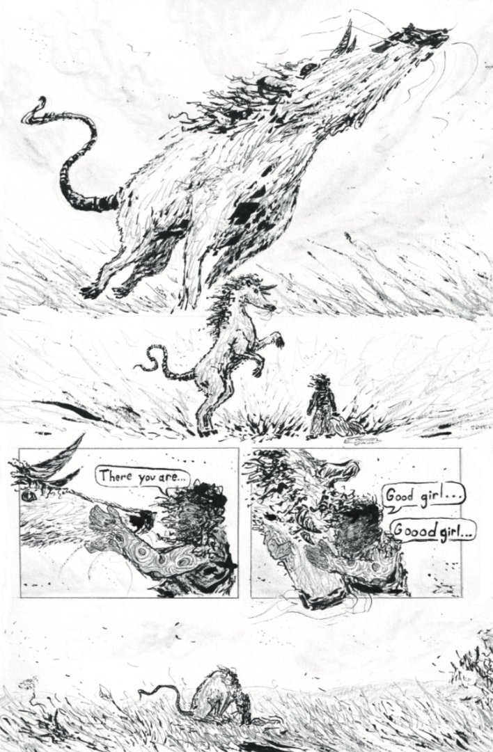 Lichen Euchella tweet media