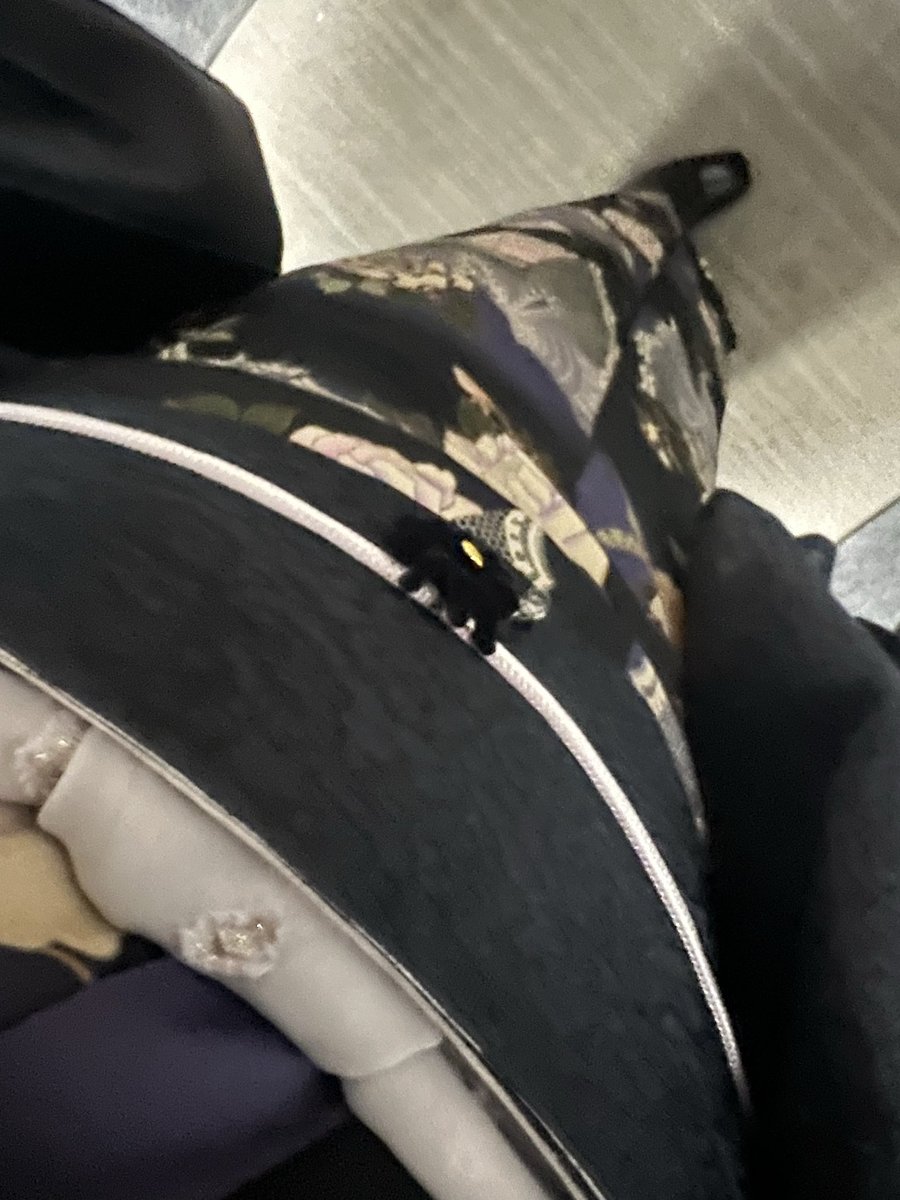 tam☆tam様  ご確認用 タムタム相模原店 on X