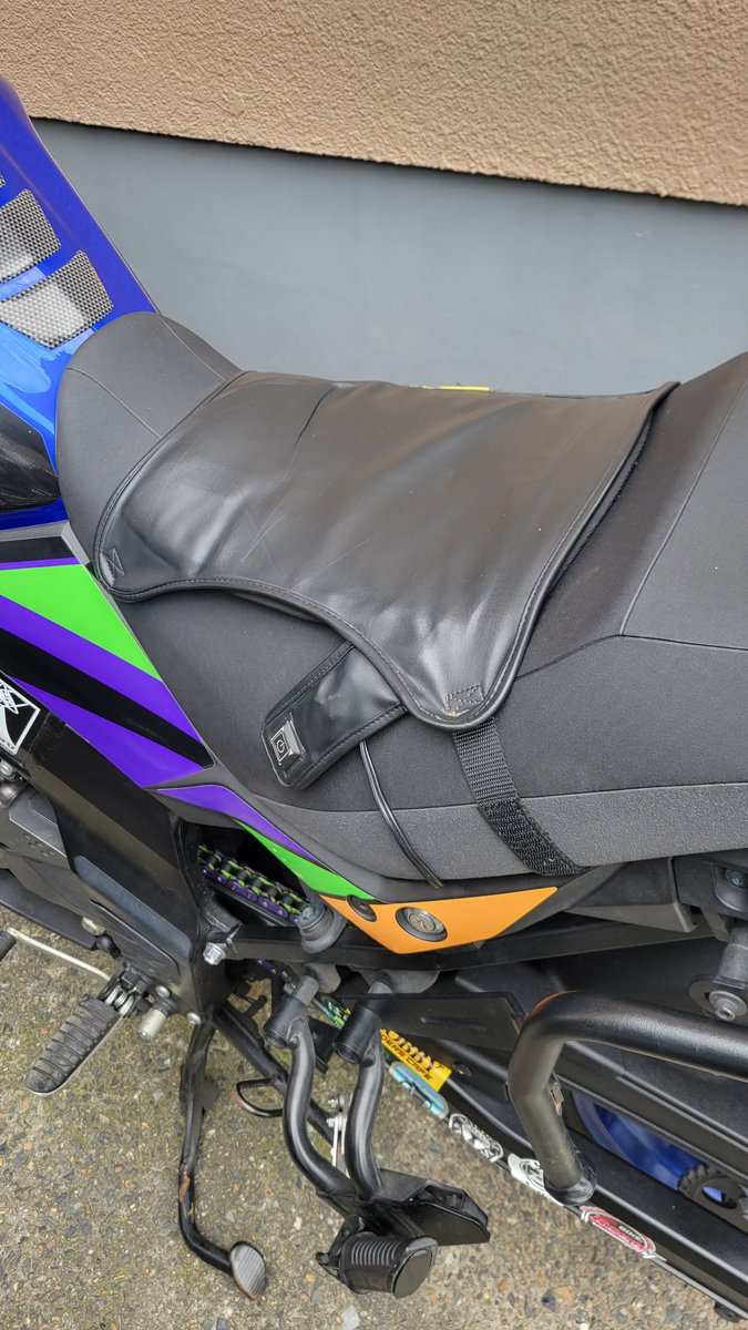 セキちゃん(｡◉ω◉｡)🐟 on X