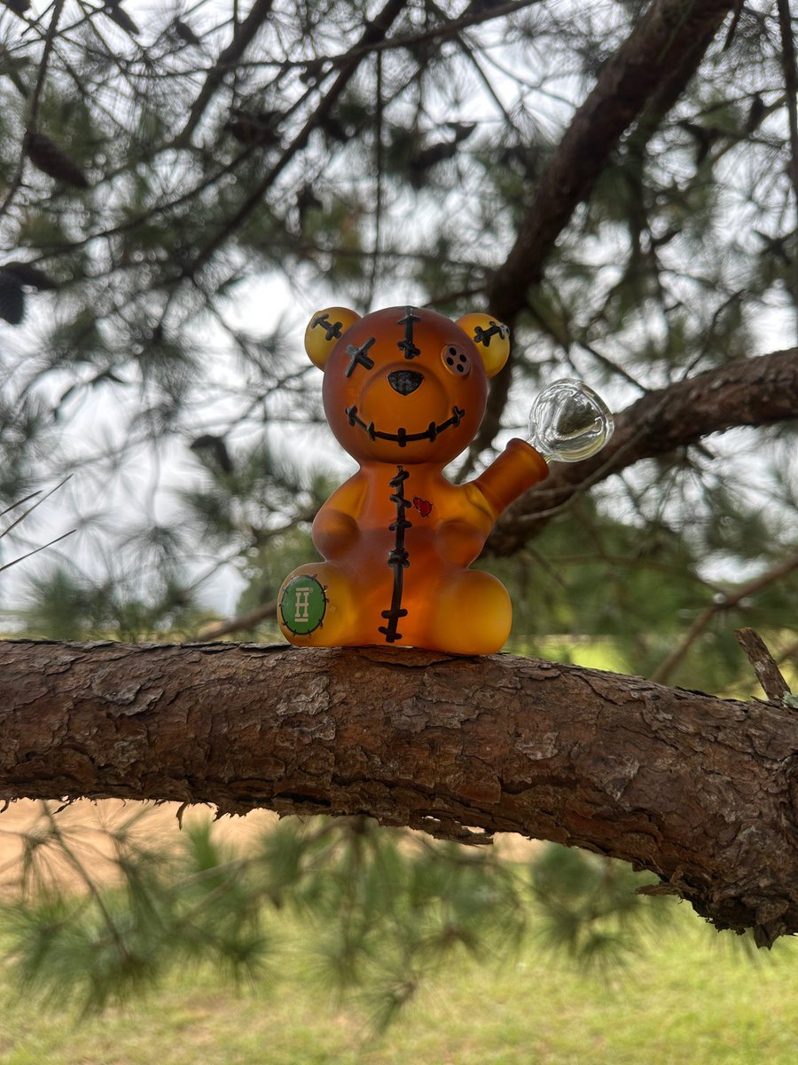 Found a little scare bear in the tree 🧸🎃🖤