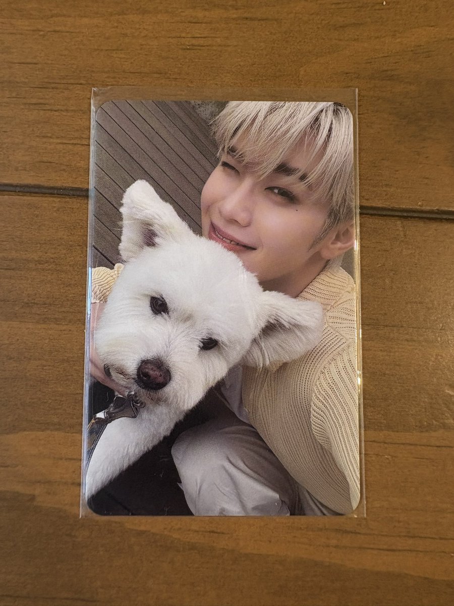 なち 🐰 tweet media