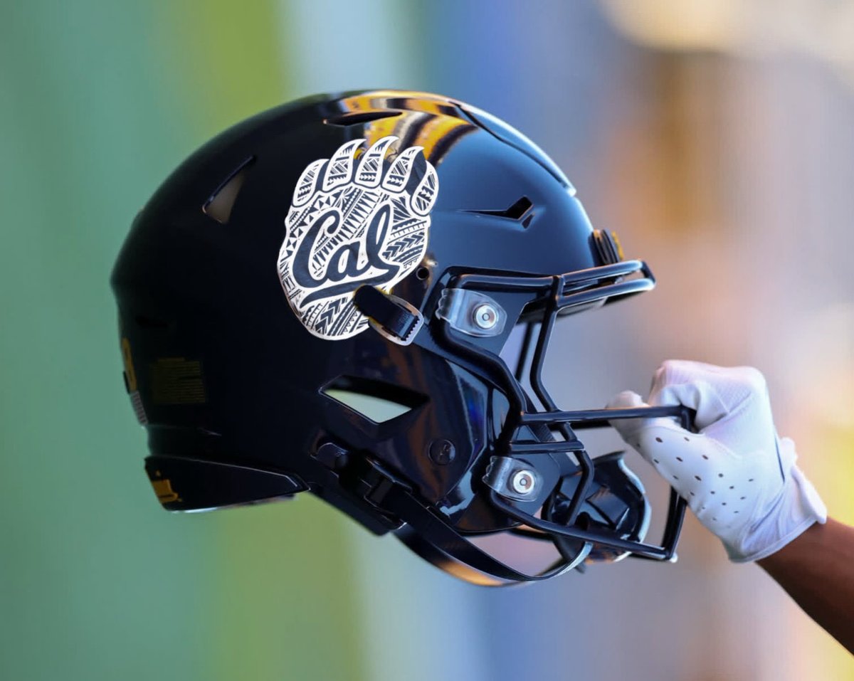 C7ISRpenguin's tweet image. Here me out: AAPI Bear Claw on the helmet for AAPI appreciation game