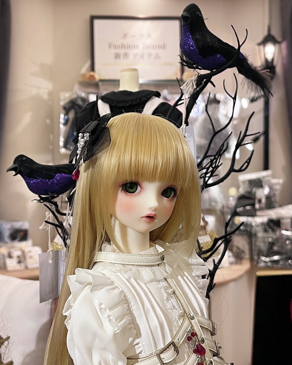 ボークス スーパードルフィー 公式 (@volks_doll) / Posts / X