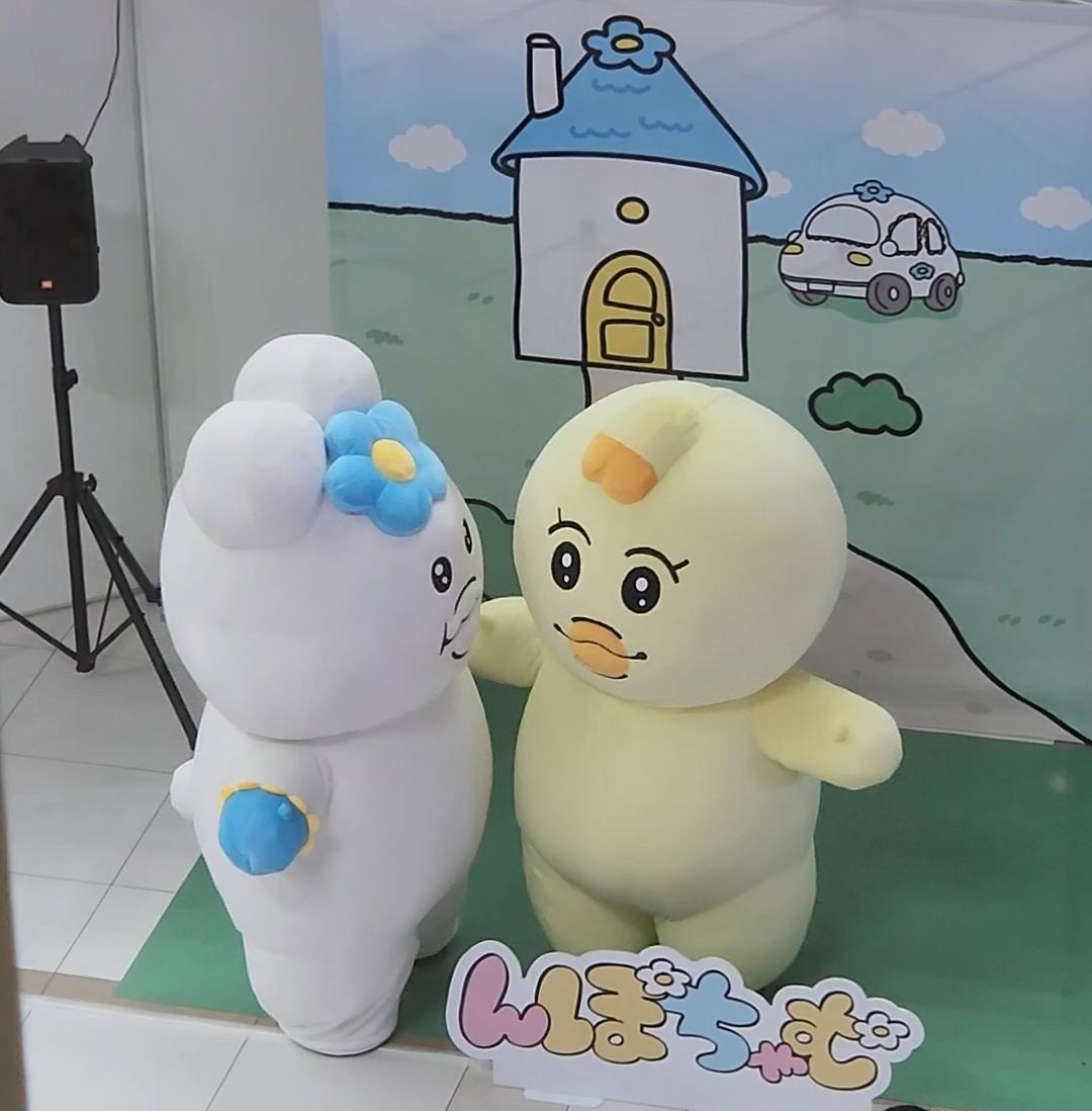 （7月VIP 10%off中) 赞ちゃんです❣️0730-2 Kenzy.com (@KENZY_PRODUCTS) / Posts / X