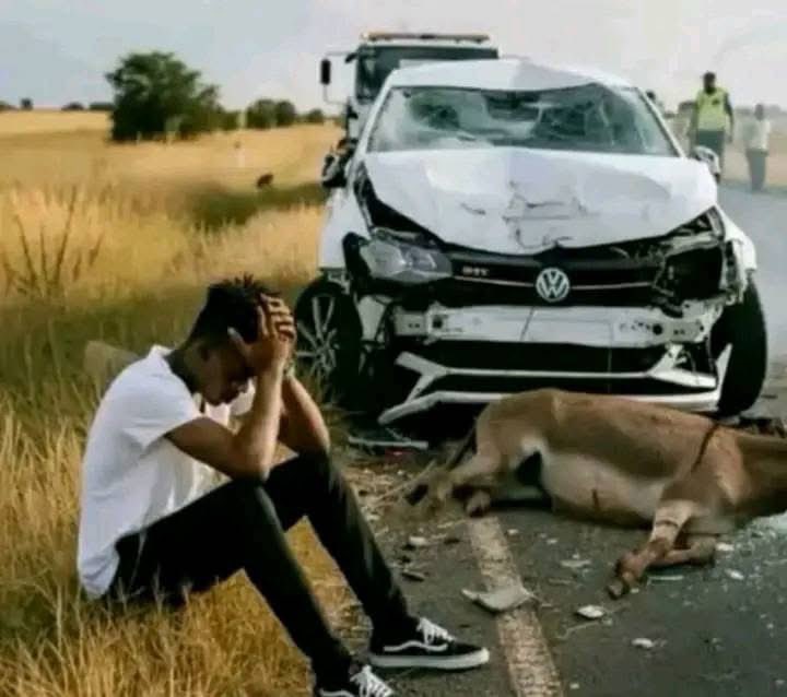 Kgoshi Ya Lebowa tweet media