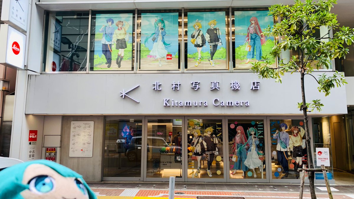 ようちゃん‼️ ようくん on X