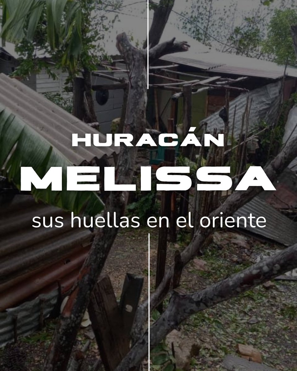 instagram.com/p/DQchdteCAXN/…
Compartimos y apoyamos el llamado de <a href="/CiudadaniayL/">Ciudadanía y Libertad</a> 2 Corintios 9 ….Cada uno dé como propuso en su corazón: no con tristeza, ni por necesidad, porque Dios ama al dador alegre. 
<a href="/NavyProMusic1/">NPM</a> @ODE@o@carolinabferrer <a href="/integracioncir/">@integración Cir</a> <a href="/cuestamorua/">Manuel Cuesta Morúa</a>