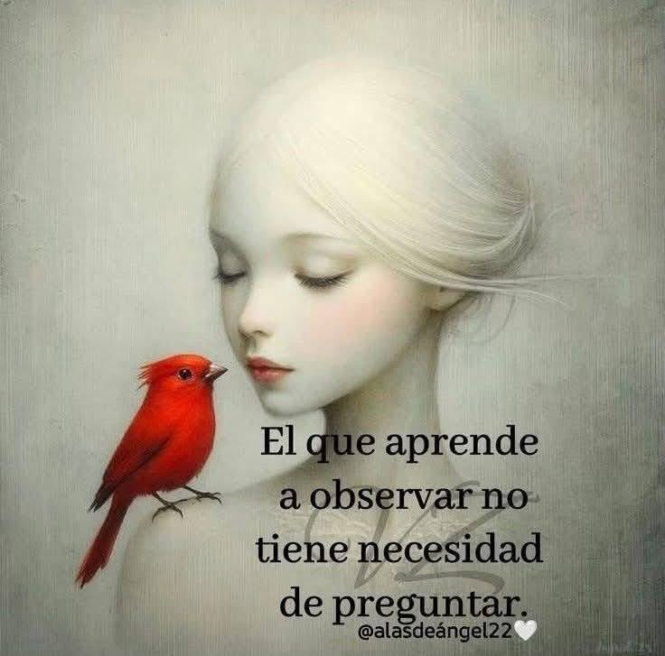 avanzandoacasa's tweet photo. https://t.co/twFkLVFrRC