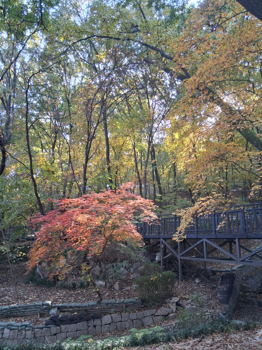 indding's tweet image. 가을산책