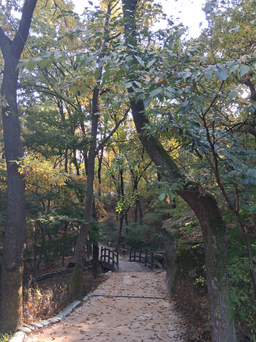 indding's tweet image. 가을산책