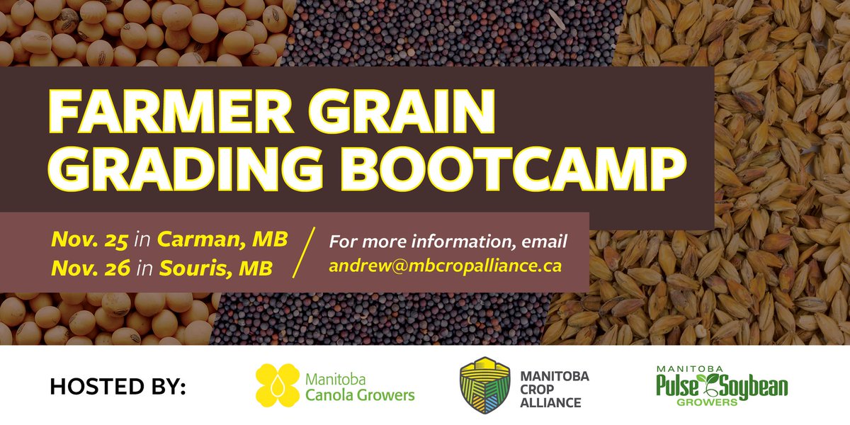 Join us later this month for a hands-on grain grading session with <a href="/Grain_Canada/">Canadian Grain Commission</a>! Hosted in partnership with <a href="/mb_cropalliance/">Manitoba Crop Alliance</a> and <a href="/MbPulseGrowers/">MPSG</a>. <a href="/Grain_Canada/">Canadian Grain Commission</a>
Carman👉canolagrowers.com/upcoming-event…
Souris👉canolagrowers.com/upcoming-event…