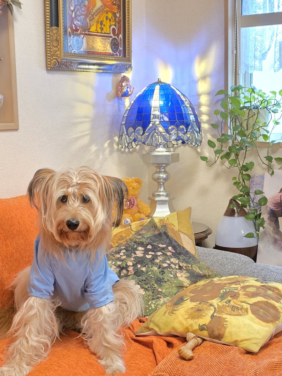 11月3日(祝🎌) 立川BABEL
「GARDEN OF THE DEATH」
🇯🇵美しい日本の秋と文化を祝います🍁
OPEN 17:30  START 17:45 
前売¥2,600+D  当日¥3,100+D 
チケット取置きはDMまたは公式HPより↓
linkco.re/RDA221Nb?lang= 
kokko-destruction.com
#ごきげんパイン
#ごきげんコッコ 
#犬好きさんと繋がりたい