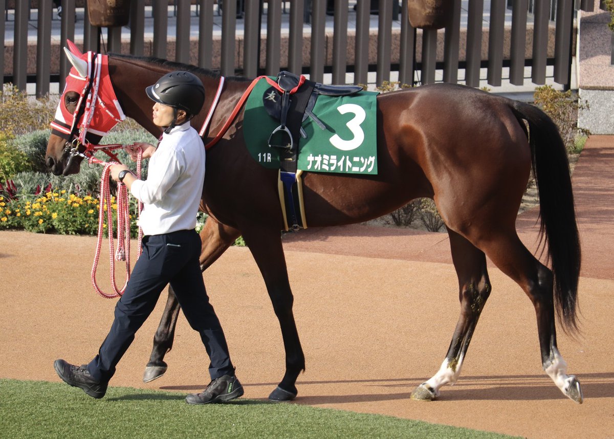 E3%83%8A%E3%82%AA%E3%83%9F%E3%83%A9%E3%82%A4%E3%83%88%E3%83%8B%E3