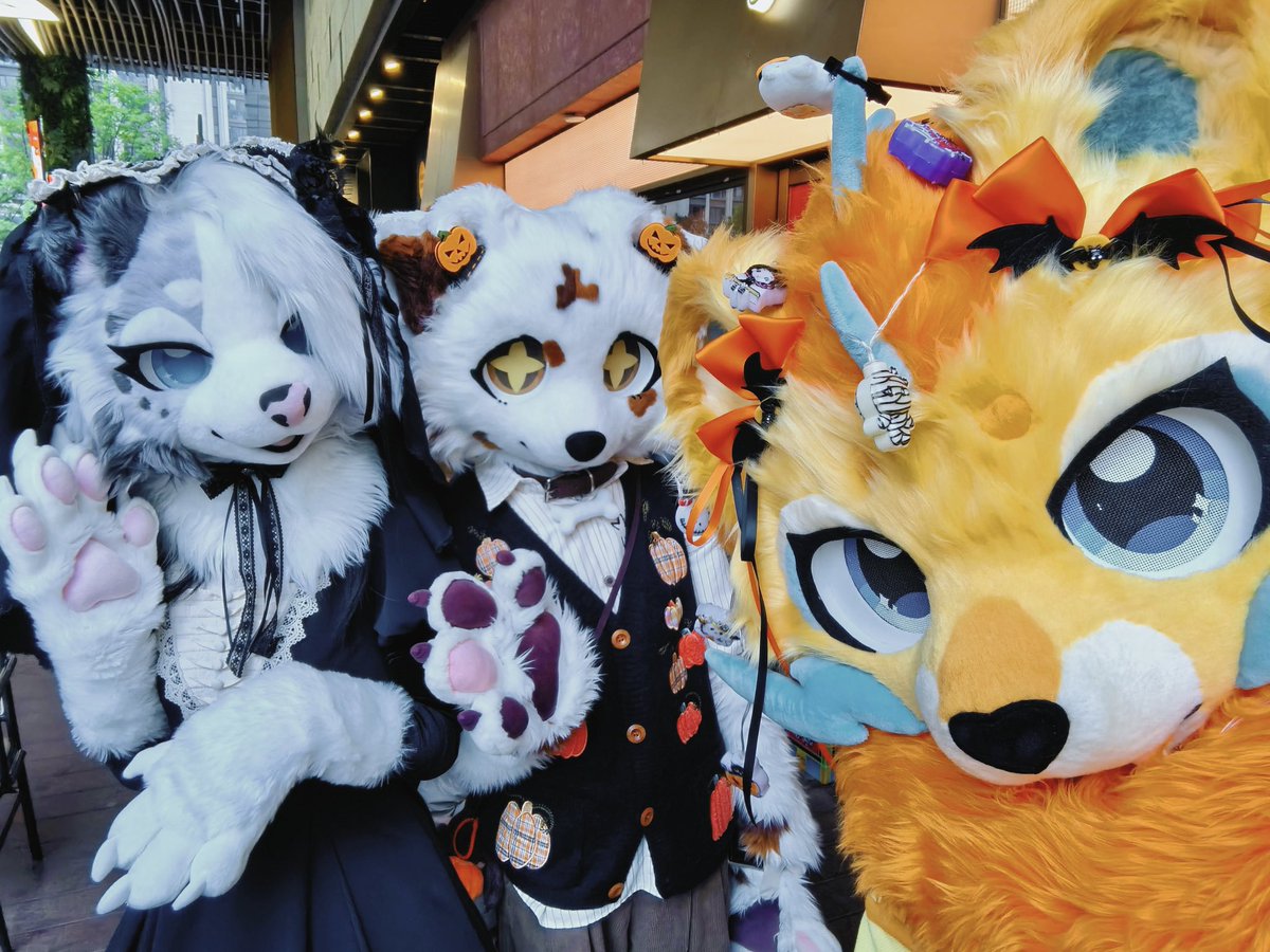 Halloween with friends🎃
#fursuit