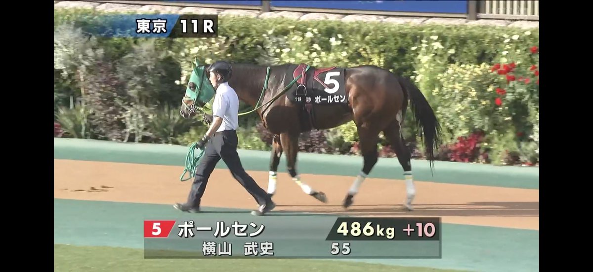 97594 コメント欄参照　ANDスパーク Z e n u ✲ *˙˚🦍 on X