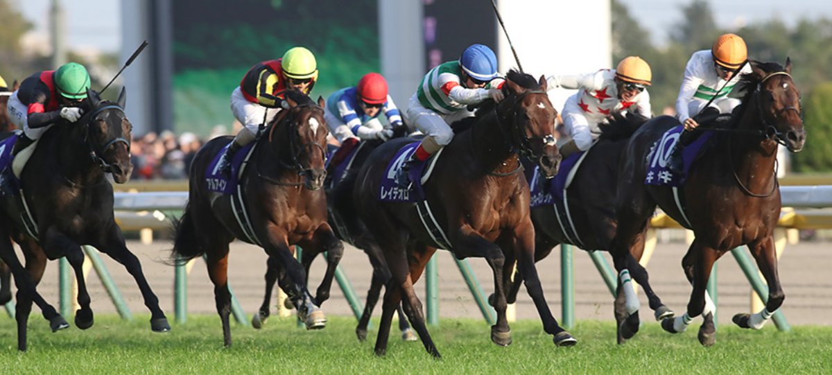 ★超希少★ウマ娘馬券★ 第127回天皇賞春 ヒシミラクル ☆超希少☆ウマ娘馬券☆ 第127回天皇賞春 ヒシミラクル - メルカリ