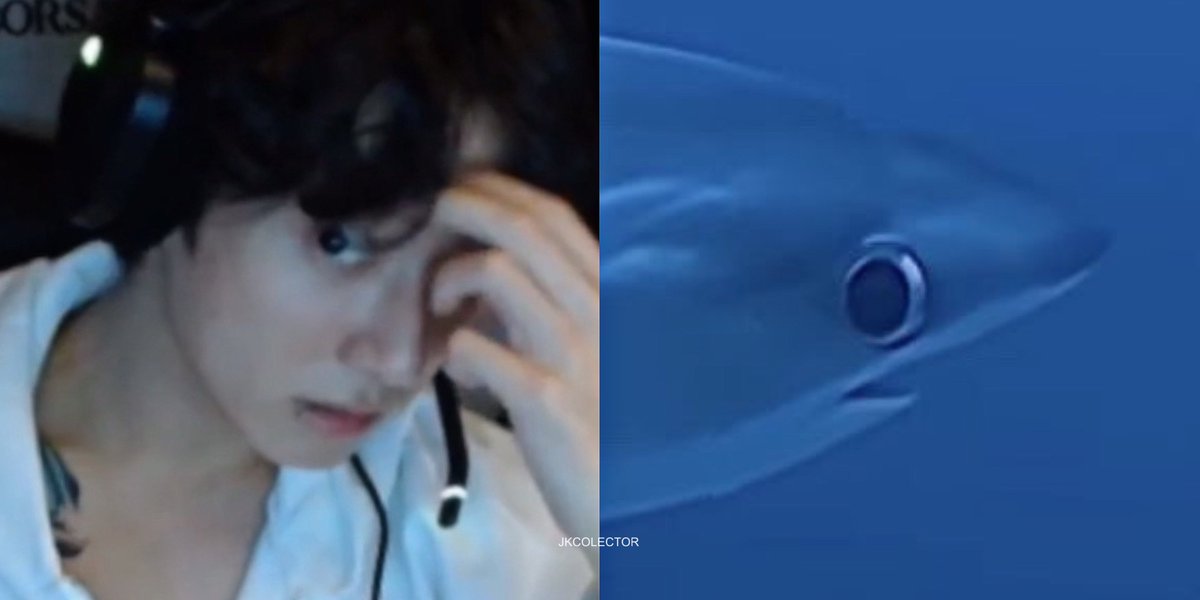 jungkook lover tweet media