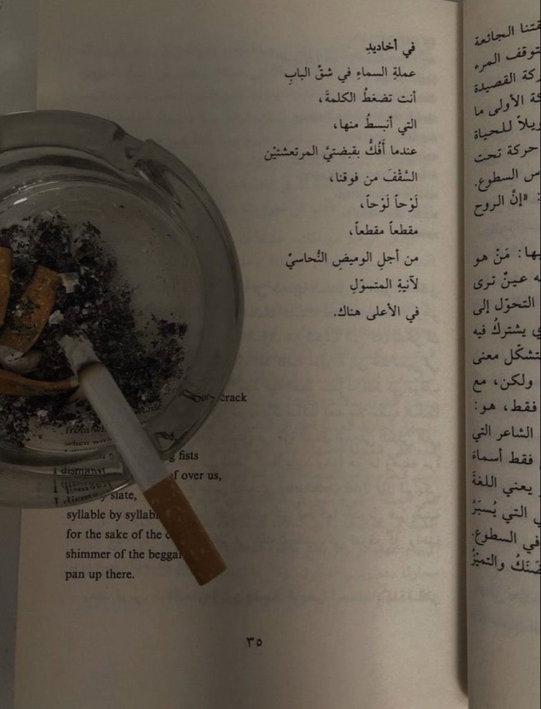 L (@lalalal_w) on Twitter photo 