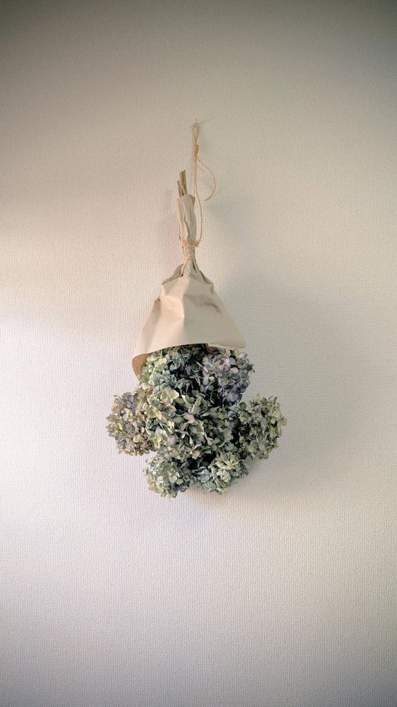 森に咲いていたアジサイを剪定して一部ドライフラワーにしてみました。もともと錆びっぽい感じだったので、うまくノスタルジックな色味に仕上がったのではないでしょうか。来年もっとたくさんドライフラワーにして秋に撮影の小道具で使ってみたいです。スタジオでこれに埋もれてみたり、ブーケっぽく持