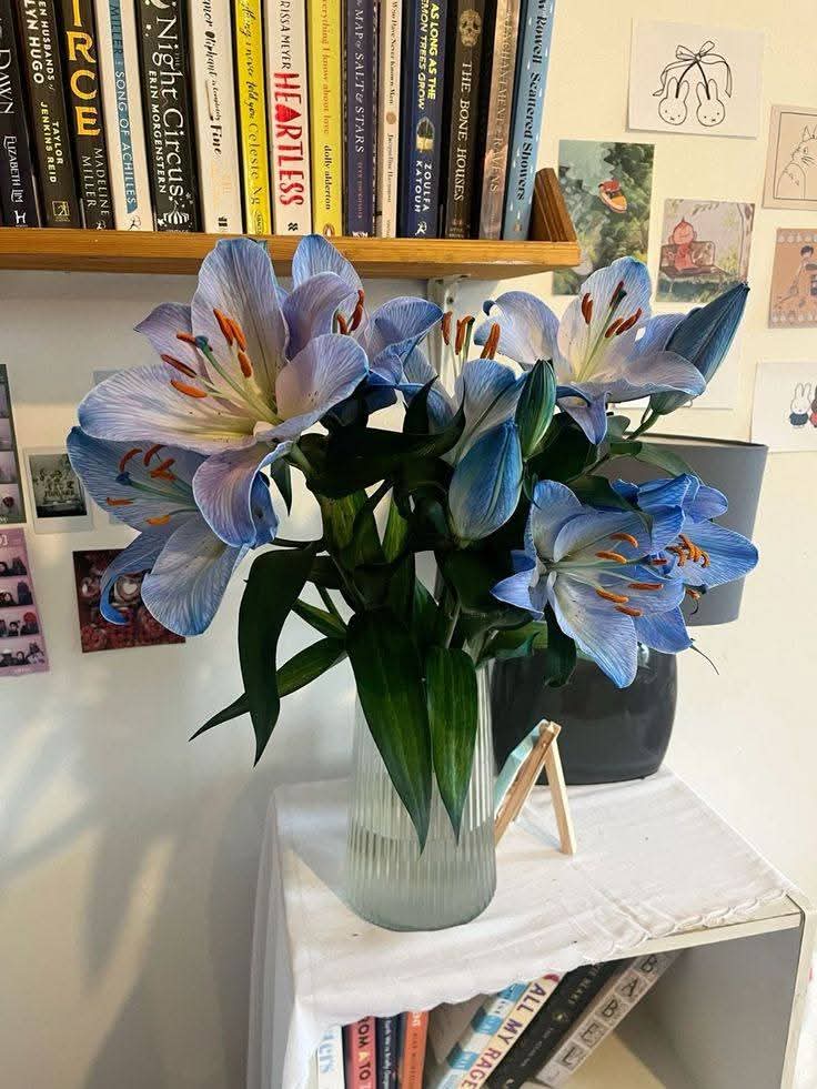 lisa (@lisa_martin900) on Twitter photo 