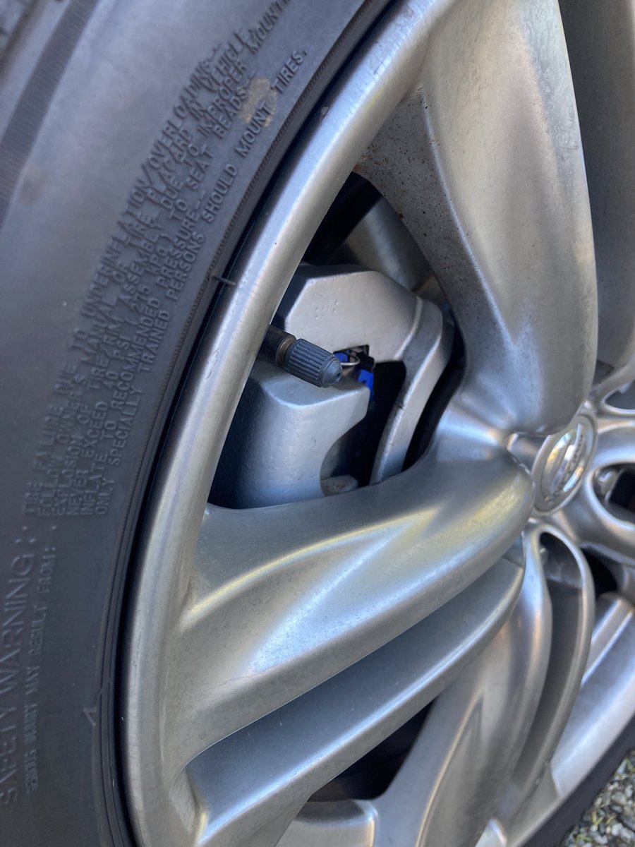 やぎ (@sheep_z33) / Posts / X