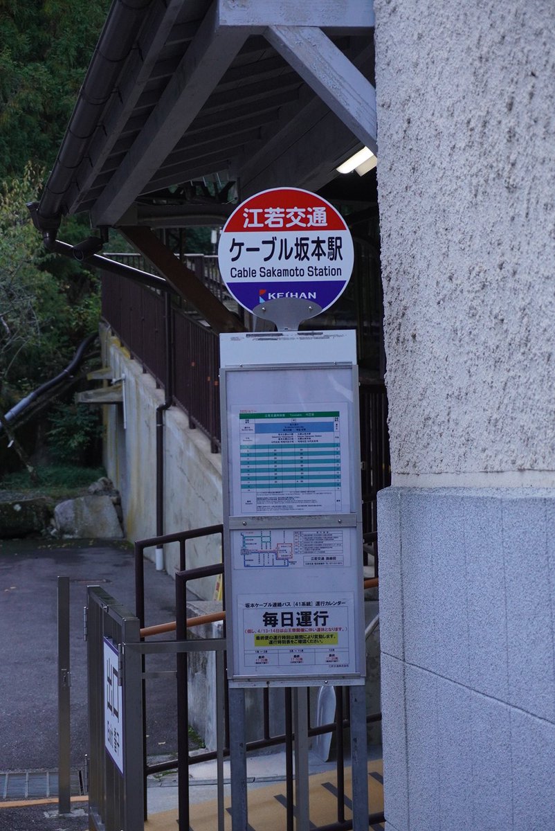 5点≪ロット番号001≫【野洲市A・東近江市B/京丹波町A/亀山市B/若狭町A】 5点≪ロット番号001≫【野洲市A・東近江市B/京丹波町