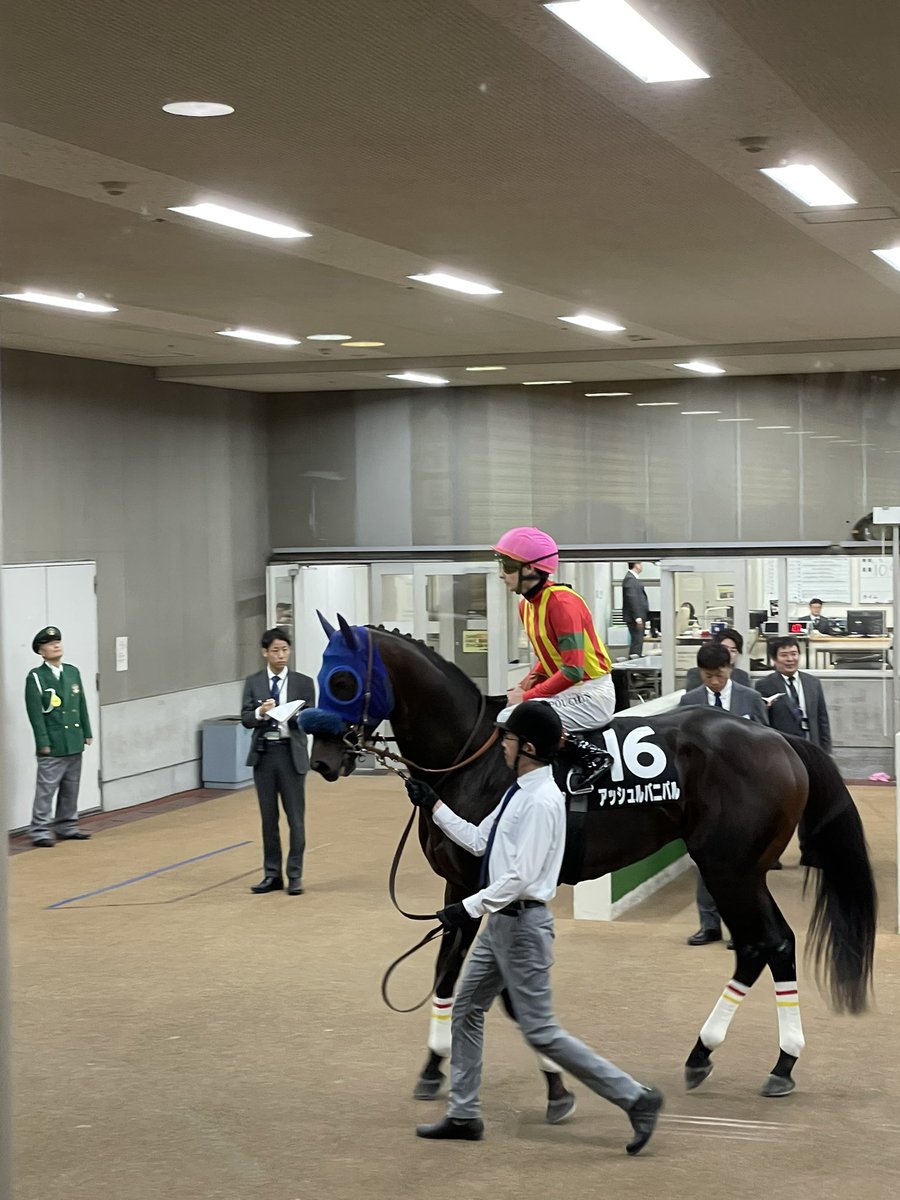 スレンペラー on X