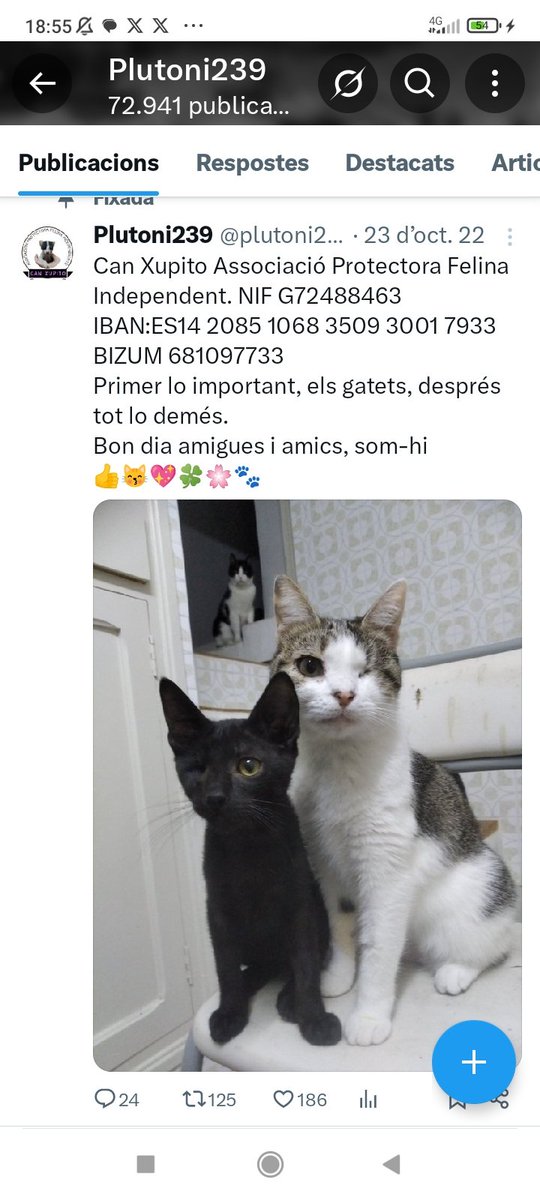 Aquests i molts més, mengen gràcies al vosaltres, moltíssimes gràcies 🙏💖🍀
He tocat a dos petits 🤗💞😂
Bon dia amigues i amics, amunt ☕😽💖🍀🌸🐾
teaming.net/canxupito