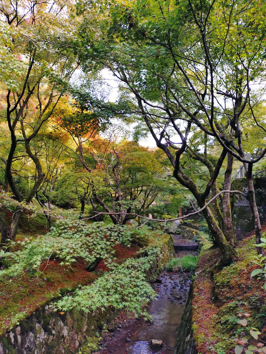 専用ページ✩⡱ XEBECブラシ ホイールタイプ | 株式会社ジーベックテクノロジー