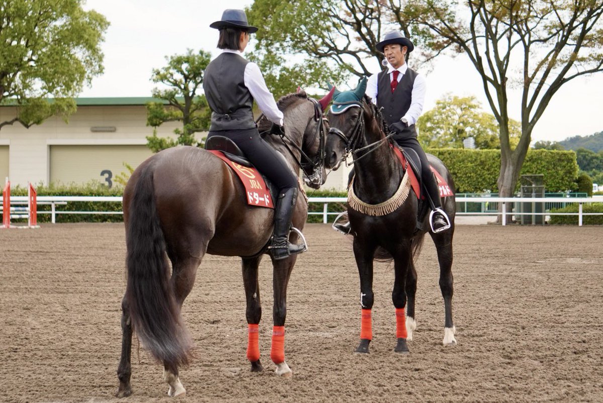 𝔜𝔬𝔯𝔲𓏲𓎨 on X