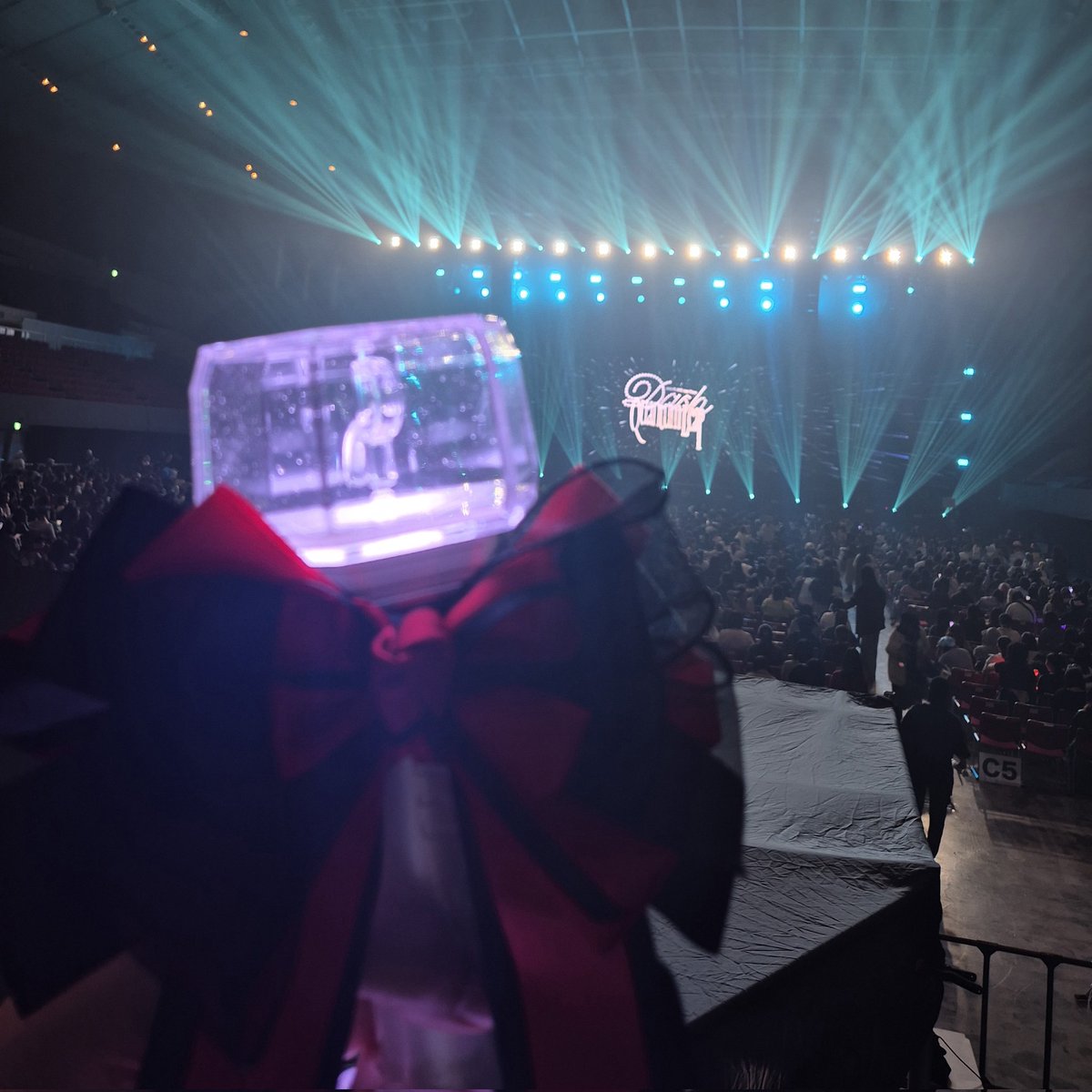 도으노면치기 tweet media
