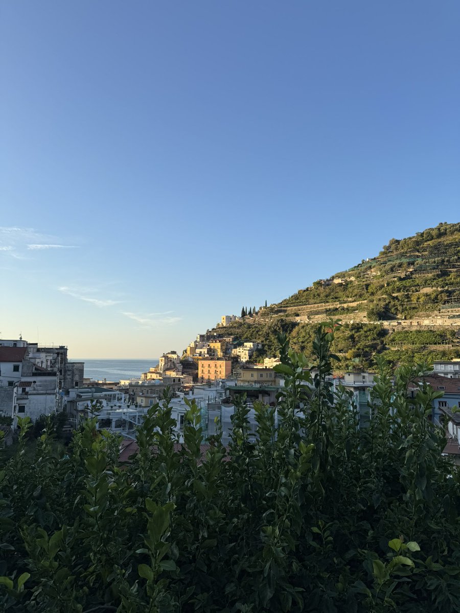 Скрізь ростуть лимони. Отой весь схил — все лимони, на передньому плані — лимони. Пахне просто неймовірно 🤌🏻