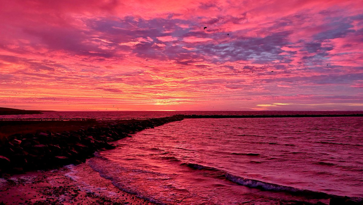November start kleurrijk😃
#Ameland #kunstmaandameland #zonsopkomst #waddenzee #cultureelerfgoed #eilandleven #mooieluchten #paars
