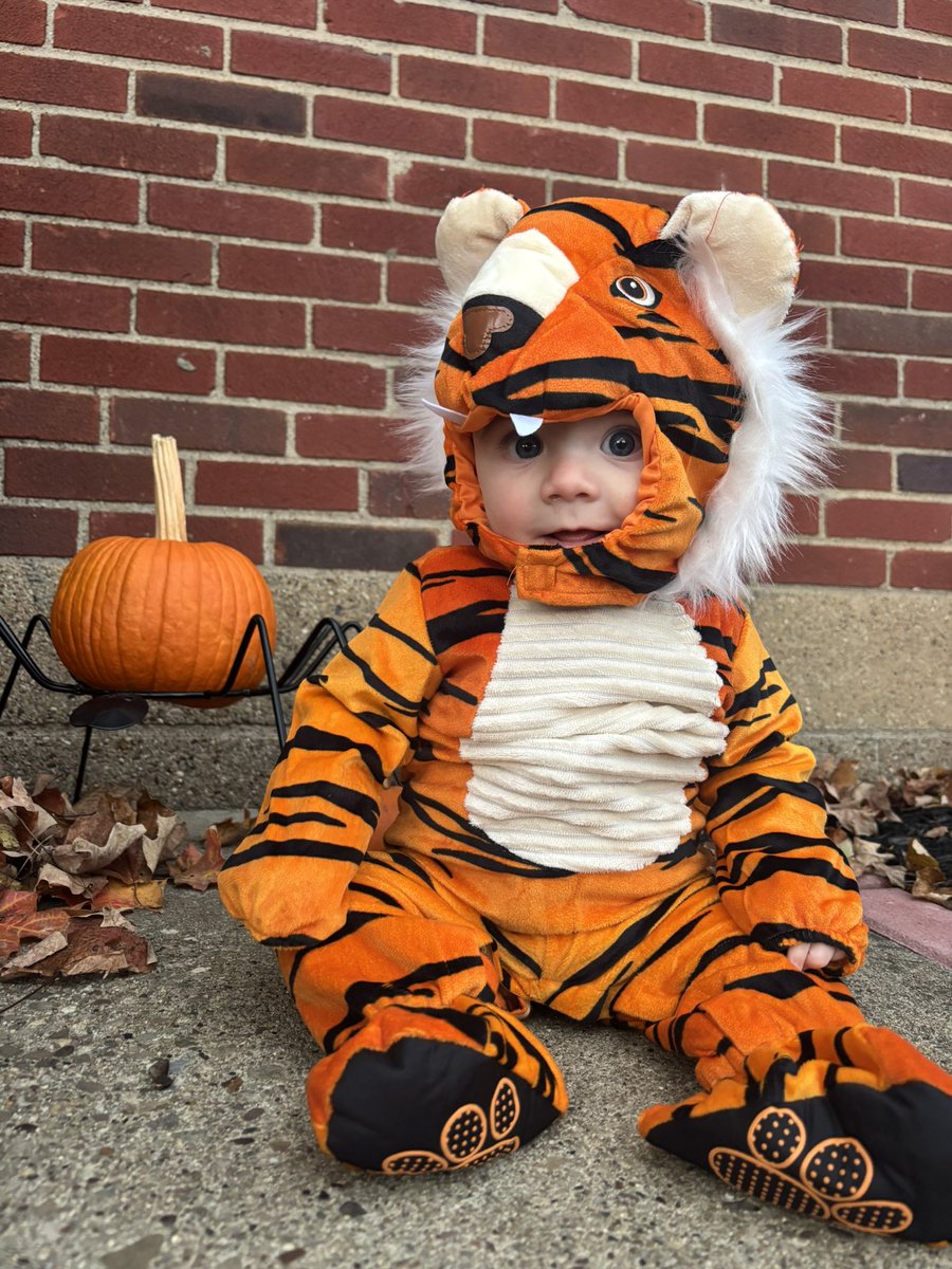 Megan Pinneri tweet media