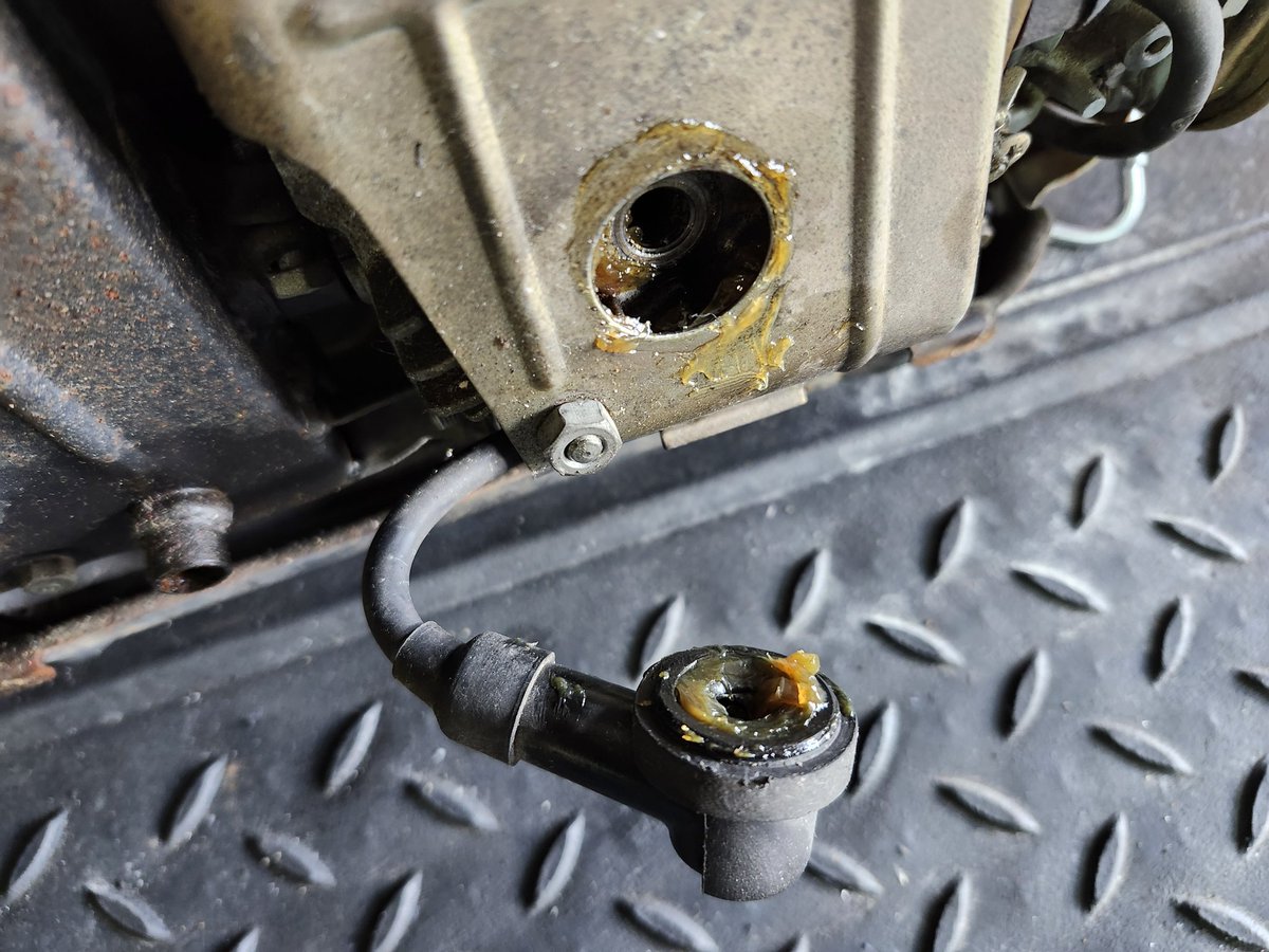 めぐページ SIGNET シグネット 65411 ミニグリスガン ノズル2本付