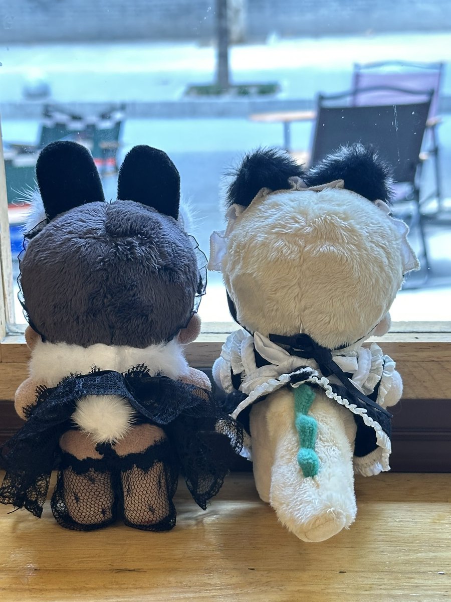 🐊🐰 ¯꒳¯

   두 명의 작은 메이드님, 무얼 생각하고 계신 거예요?

#코드네임아나스타샤 #codenameanastasia