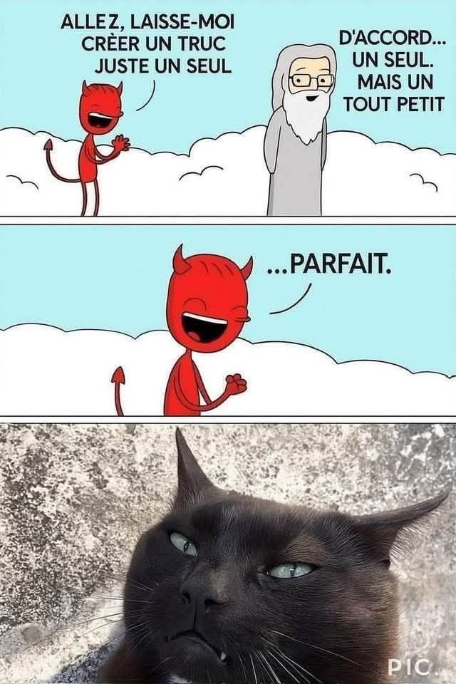 edaycard's tweet image. Et bon samedi ! #pardon