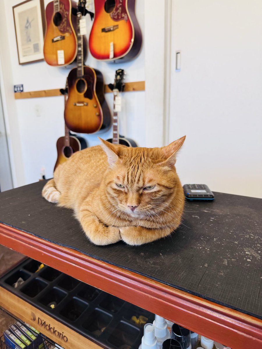 ShowAyanocozey's tweet image. 「土曜はナニする!?」 @ktv_donani 
出演させて頂きました。僕のラブコールにお応え下さり、宇都宮の旅にお付き合いしてくれた、我が麗しのおひぃ様 @HISASHI_ 、並びにスタッフの皆様、各所お世話になった皆様、そしてご覧下さった皆様、本当にありがとうございました！やっぱり旅って誰と行くかだ！…