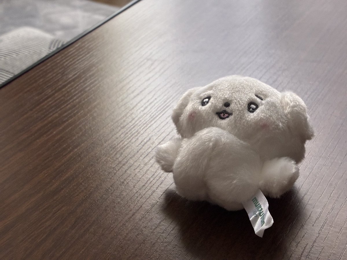 千代子 (@chiyoko888) / Posts / X