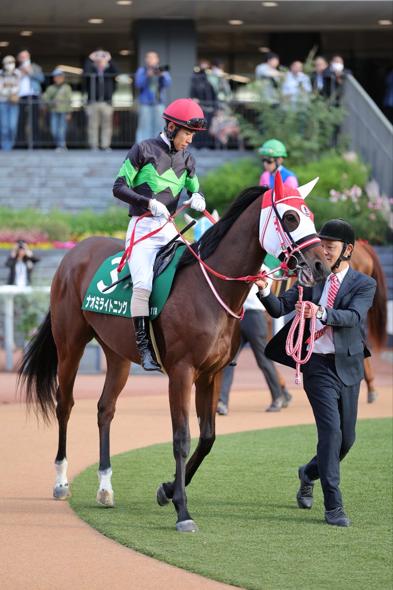 E3%83%8A%E3%82%AA%E3%83%9F%E3%83%A9%E3%82%A4%E3%83%88%E3%83%8B%E3