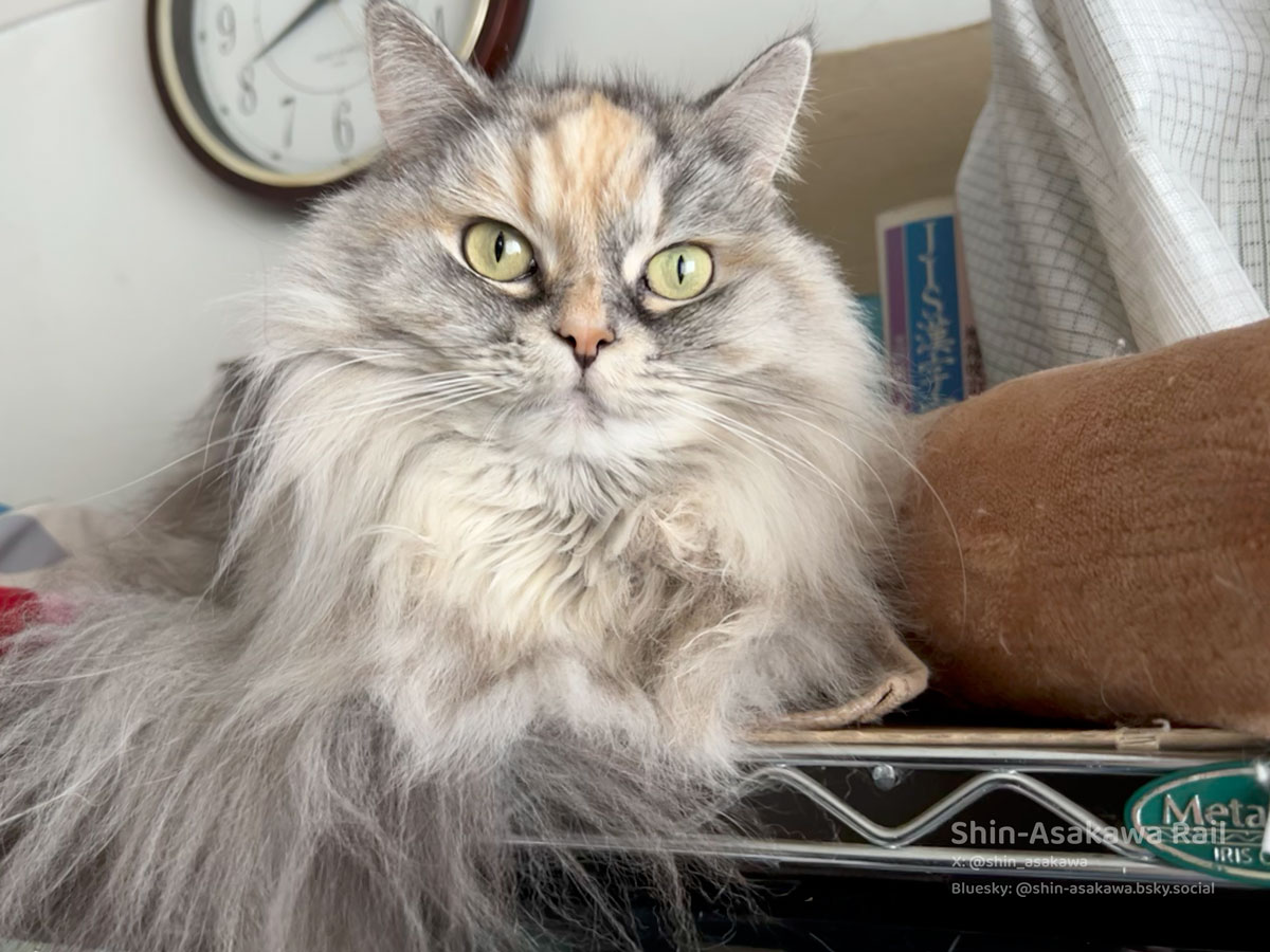 asakawa（第一） on X