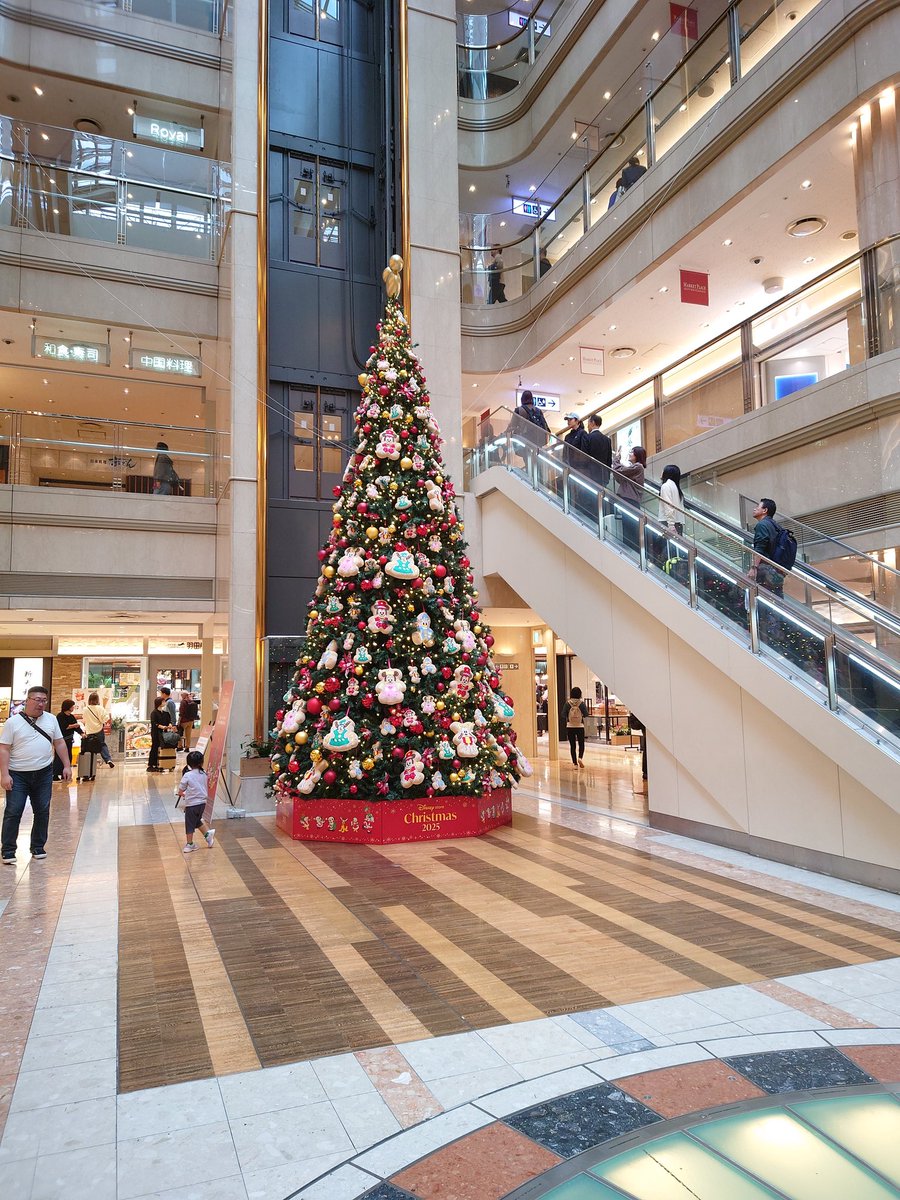 kencha0204's tweet photo. 早いですね🎄ここの近くで食べられるアイスが美味しいですよ🍦 https://t.co/AeQZgHotJ0
