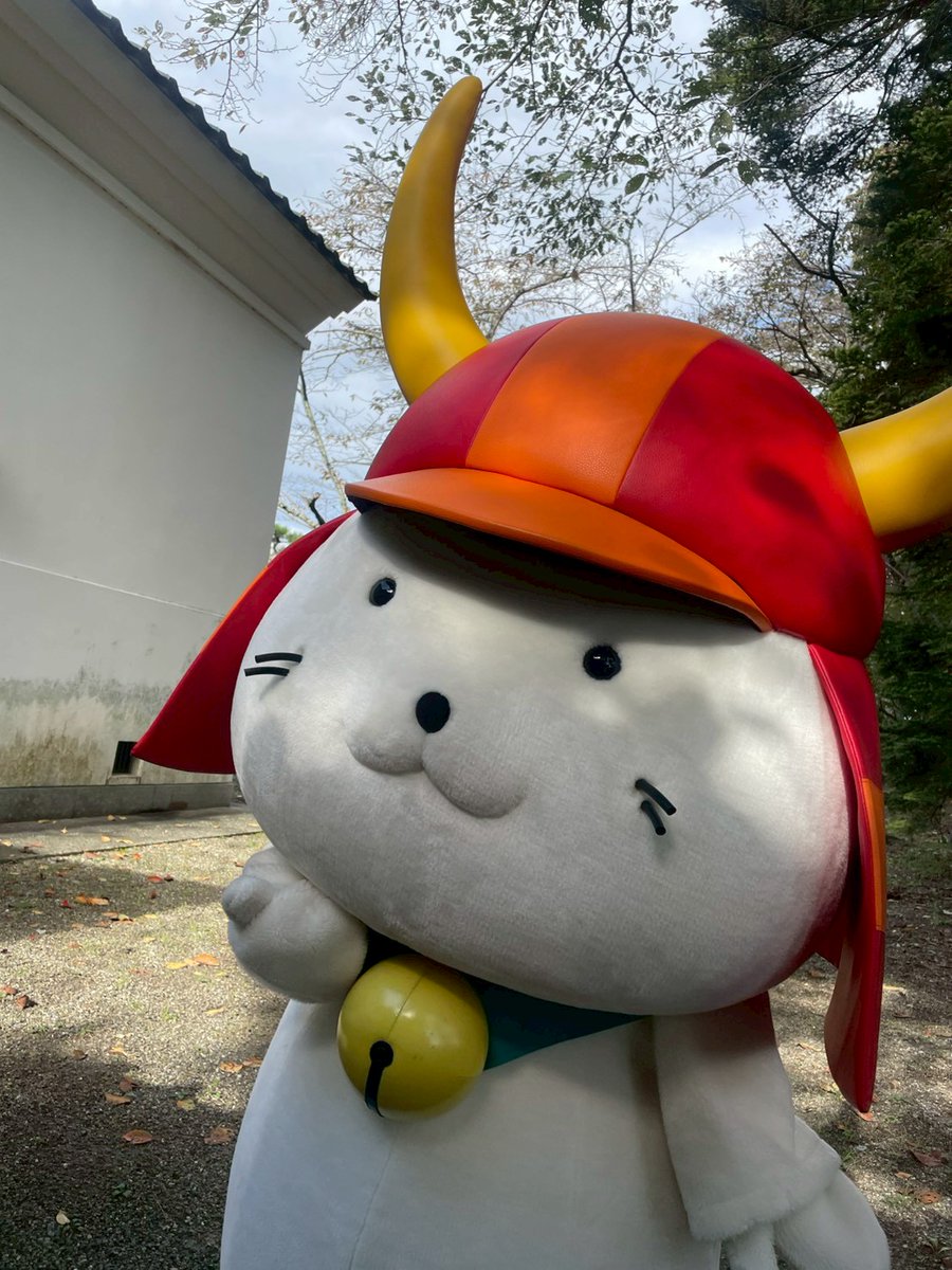 本日、#ひこにゃん 殿はお散歩中、何やら熱心に考えごとをしておられた