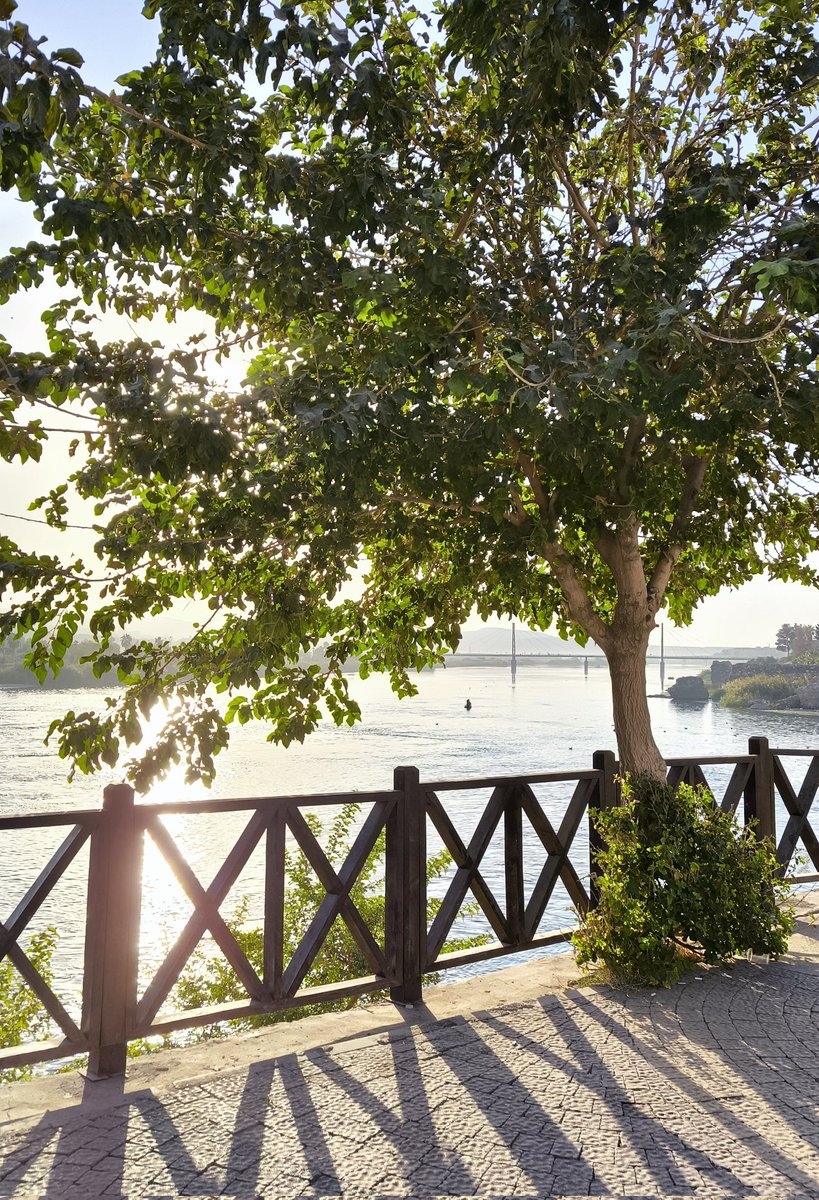 Sabah her zaman en huzurlu vakittir.
🔸 Cizre