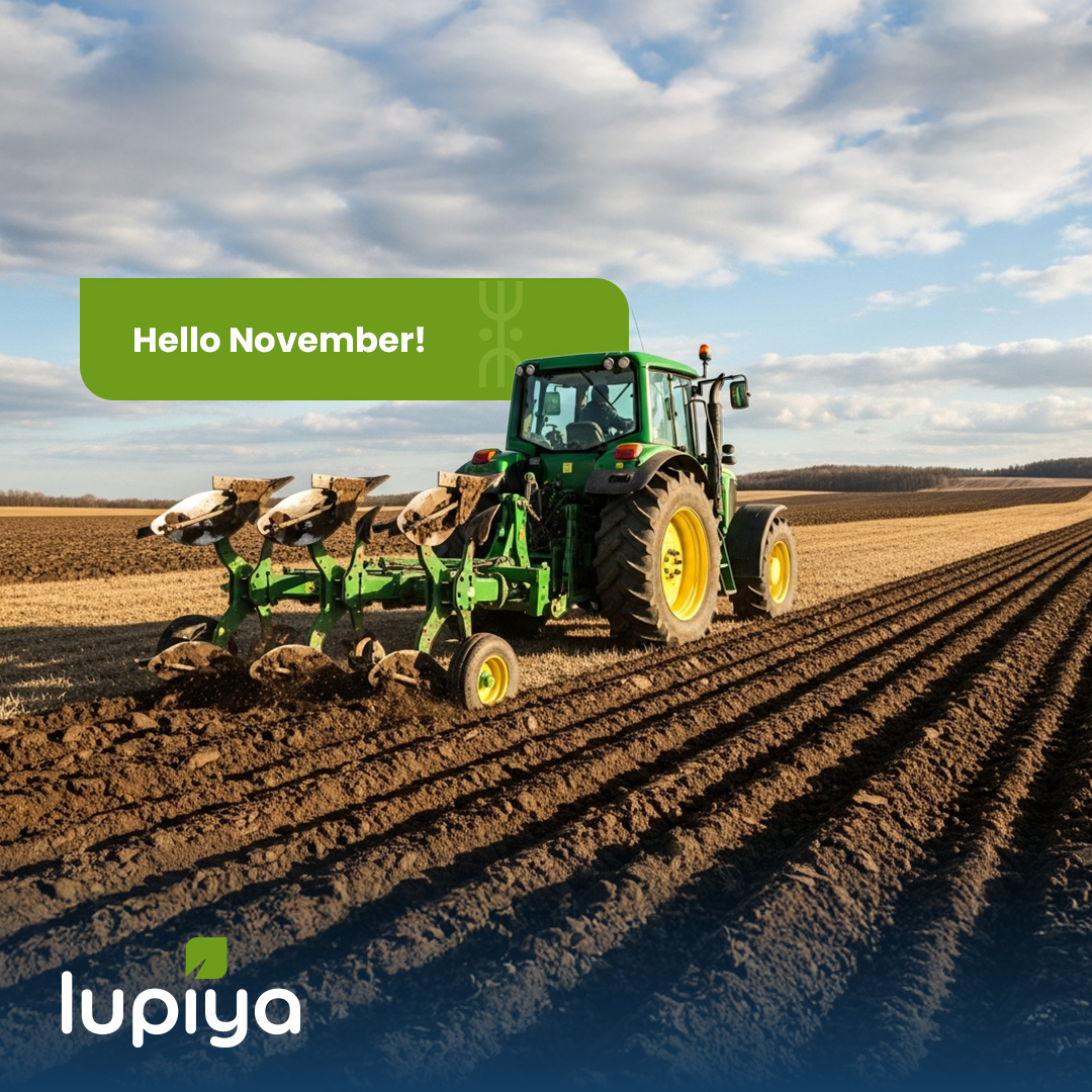 Welcome November! 

A month of preparation, planning and fresh opportunities.

As the year draws closer to its end, this is the time to reflect, refocus, and position ourselves for a strong finish and an even stronger start to the year ahead.

#LupiyaMoneyMoves #HappyNewMonth