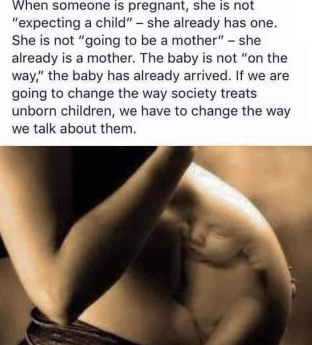 PunchyPanda (@pudgytrashpanda) on Twitter photo 