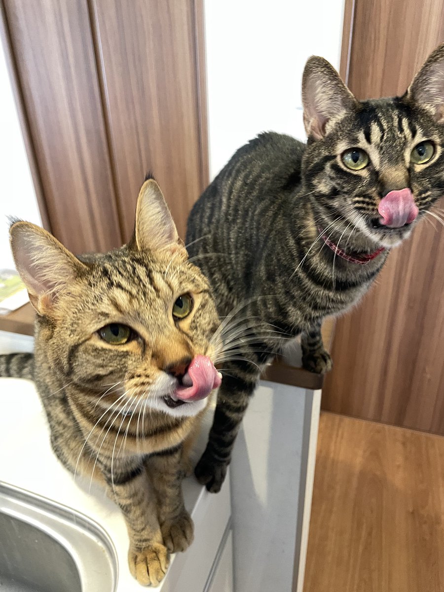 むぎ (@mugi411) / Posts / X